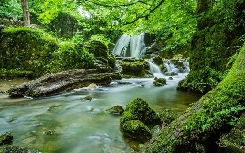 稳定性高效